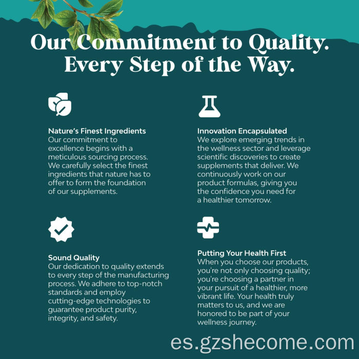 Cápsulas de desintoxicación del hígado Shecome Apoyo antioxidante Hígado